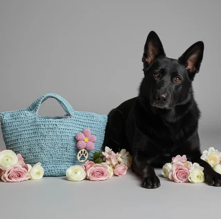 ZD Bucket Bag in Ice Blue Raffia