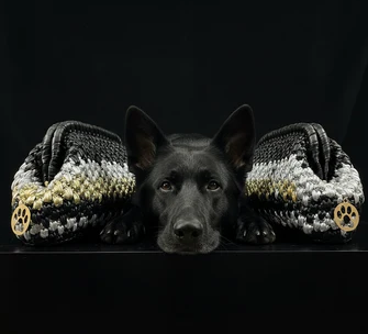 ZD Black, Gold and Silver Noir Metallique