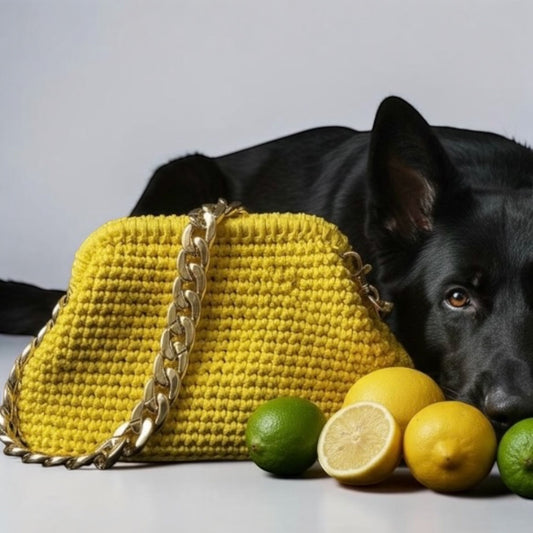 ZD Small Yellow Lume Cord Bag